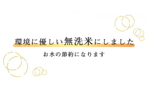 無洗米食べ比べ 令和6年産 雪若丸 2kg と《 特別栽培米 》つや姫 2kg （合計4kg）【2024年10月中旬頃より順次配送予定】014-C-SR008