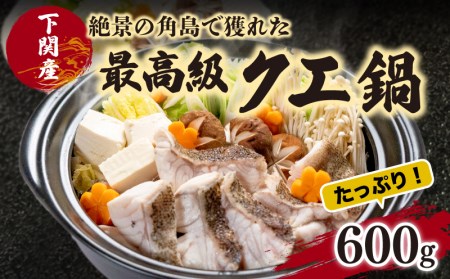 天然 クエ 鍋 セット 600g 冷凍 クエ くえ 美味しいクエ 鍋用クエ EY006