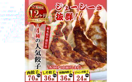 【12ヶ月定期便】餃子専門店 宇都宮 悟空 4種の人気餃子定期便 ❘餃子 冷凍 ぎょうざ ギョーザ 紫蘇 シソ 肉たっぷり 肉多め  大きい ジャンボ 人気 名物 行列 国産野菜 国産豚肉 ジューシー スタミナ パリパリ もちもち グルメ おかず 食べ比べ おつまみ 栃木県 簡単 小分け 冷凍食品 ※離島への配送不可 