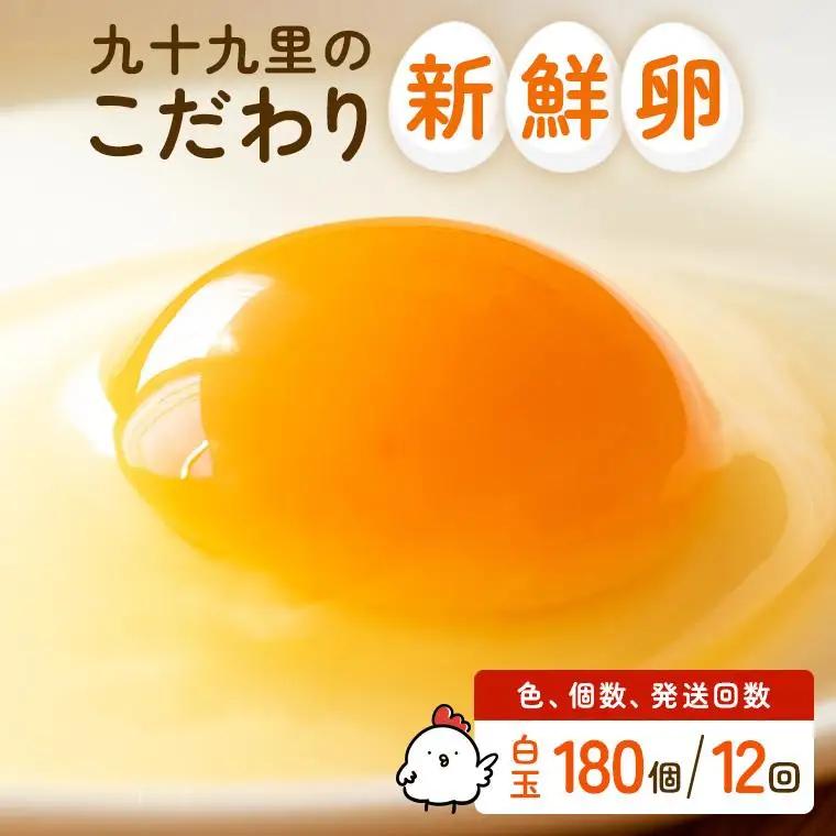 【定期便12回】九十九里ファームこだわりたまご贈答用 180個 ～あおい海・みどりの里～《白玉》 たまご 卵 玉子 タマゴ 白玉 卵かけご飯 新鮮 旨み 甘み 贈答用 贈答 ギフト 贈り物 千葉県 匝瑳市