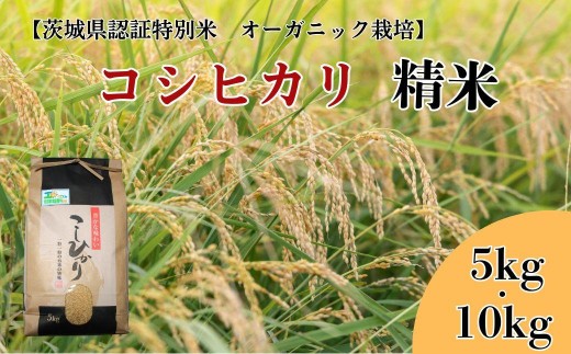 
                  《 令和7年産 》コシヒカリ　精米【茨城県認証米／オーガニック栽培】 ／ 米 こめ コメ お米 おこめ コシヒカリ こしひかり 茨城県認証米 オーガニック 精米 白米 ごはん 令和7年 5kg 10kg 送料無料
                
