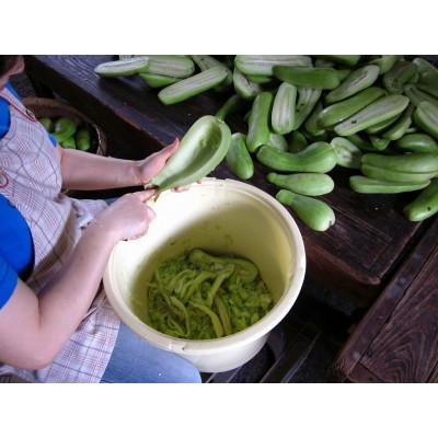 ふるさと納税 筑紫野市 【酒蔵の手造りの味】玉出泉　奈良漬　計3kg |  | 01