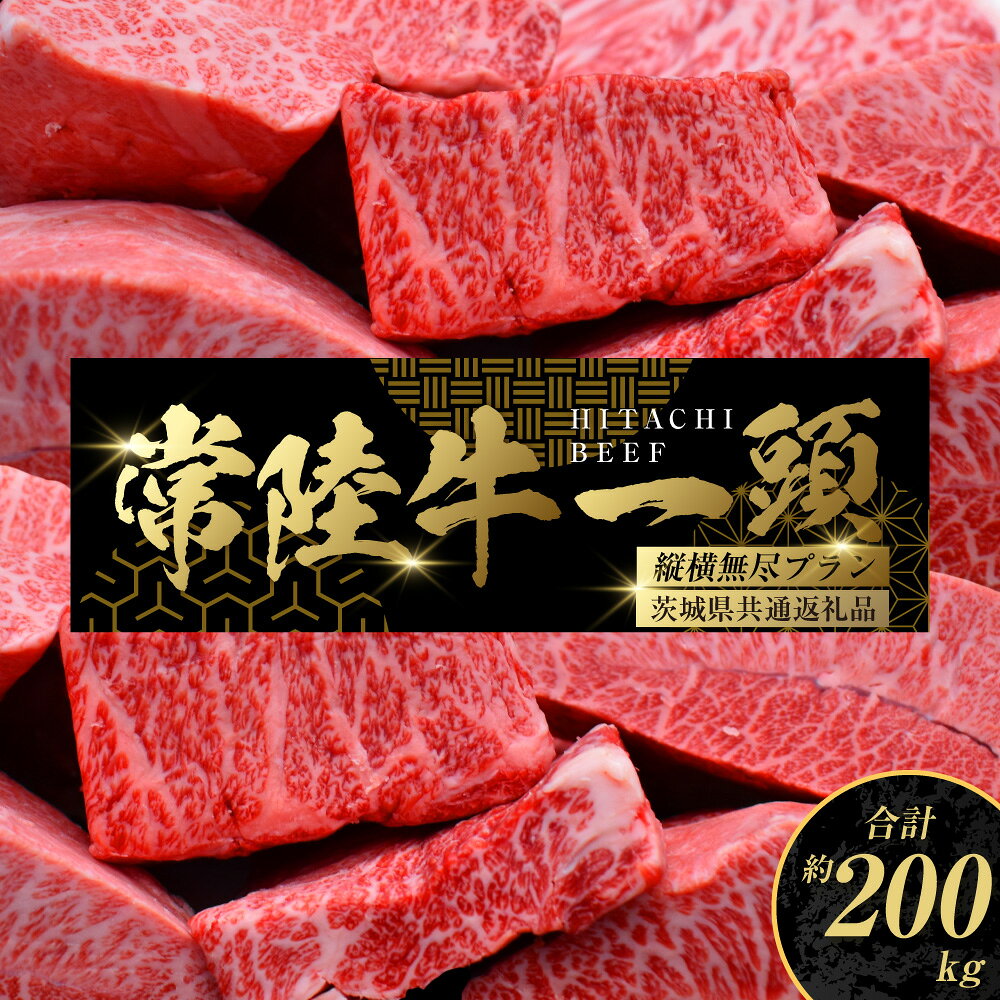 【ふるさと納税】【茨城県共通返礼品】常陸牛 一頭 コンシェルジュ 縦横無尽プラン（チケット） オーダーチケット 1枚 オーダーカット 肉 お肉 牛肉 唯一無二のプラン 最大100件まで発送可能 贈答用発送可 ブランド牛 銘柄牛 茨城県 守谷市 送料無料