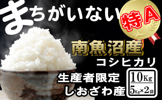 【令和7年産】生産者限定／契約栽培 南魚沼しおざわ産コシヒカリ10Kg（5Kg×2袋）【銘柄米 ブランド米 精米 こしひかり コシヒカリ 魚沼産 新潟米 産地直送 お米 米 こめ コメ ご飯 御飯 ごはん】