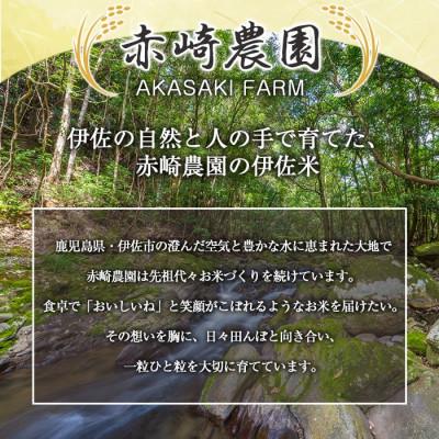ふるさと納税 伊佐市 鹿児島県産ひのひかり(10kg)  伊佐米 isa808 |  | 01