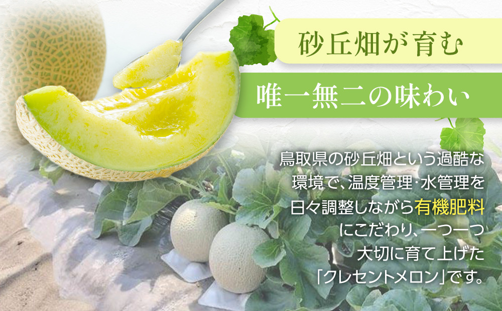783.【先行予約】青肉メロンの新星「クレセントメロン」満足の２玉セット　※2025年７月中旬より順次発送予定