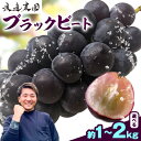 【ふるさと納税】 ブラックビート 選べる 約1kg (2房) 約2kg(3-5房) 渡邊農園《8月中旬-9月中旬頃出荷》 送料無料 岡山県 浅口市 フルーツ 果物 国産 岡山県産 葡萄 ぶどう ブラックビート ブドウ【配送不可地域あり】