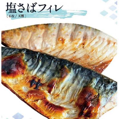 ふるさと納税 北山村 迷ったらコレ!!魚鶴商店の天然紅サケ約1kg & 塩さばフィレ6枚セット【uot744B-1】 |  | 01