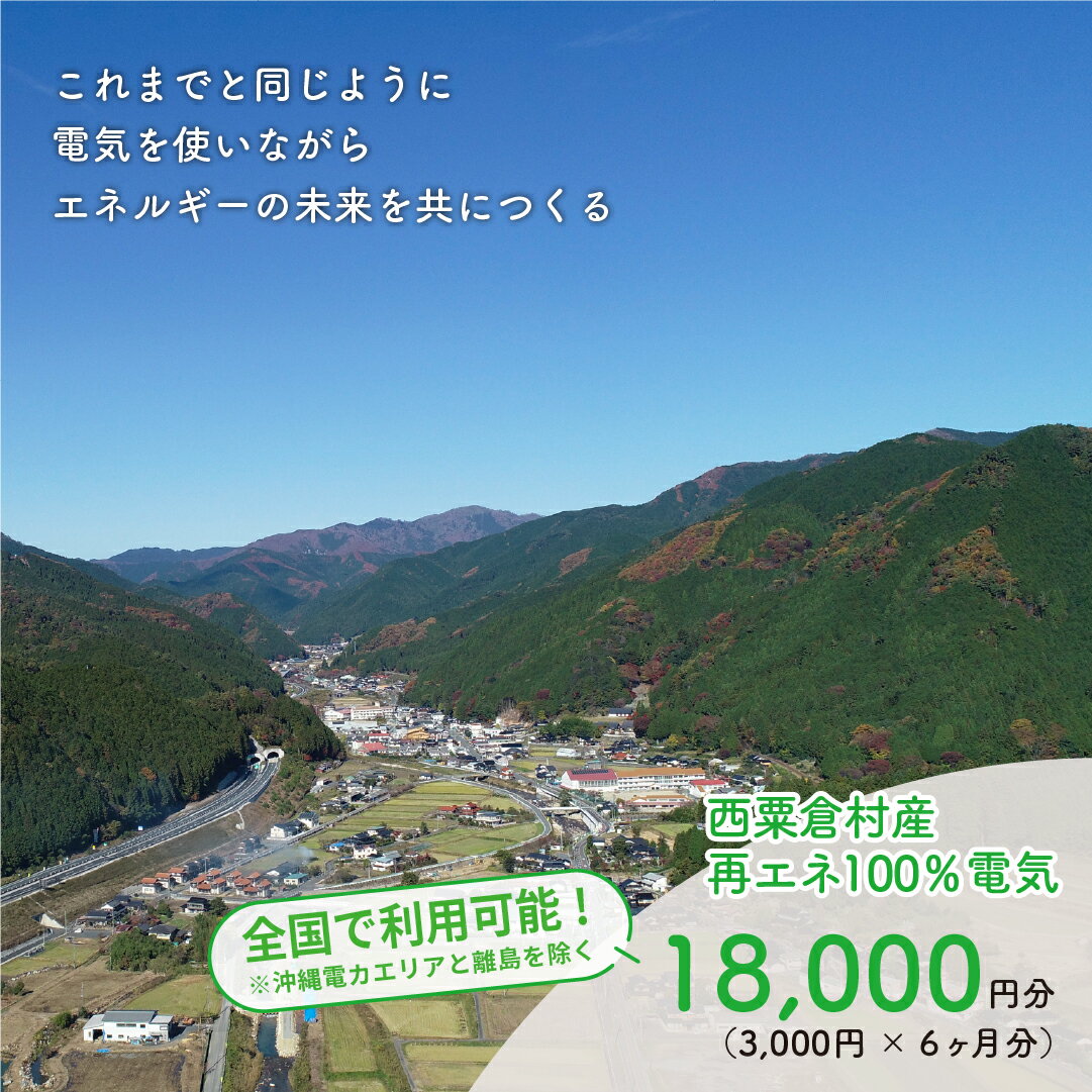 【ふるさと納税】電気料金 （3,000円×6ヶ月分） 百森でんき CO2フリー 地域電力 お礼の電気 脱炭素 ゼロカーボン 岡山県 西粟倉村 【まずは寄付のお申し込みを！】 e-vv-A02D