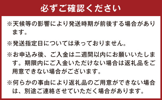 熊本県産 そらまめ 約4kg（2粒）
