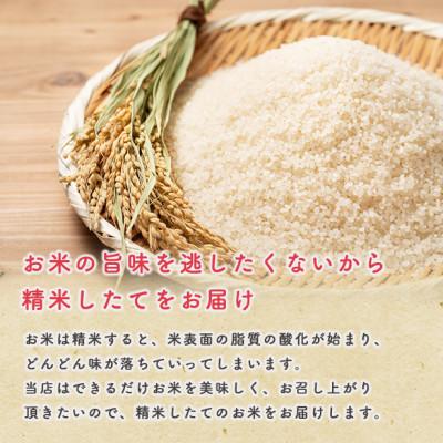 ふるさと納税 潟上市 【新米予約】令和7年産 秋田県産あきたこまち 10kg(5kg×2袋)(七分づき)9月下旬〜順次発送 |  | 02