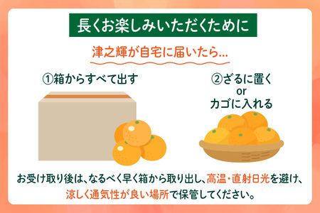 先行予約 津之輝 つのかがやき 6kg以上 (2kg×3箱) 希少 期間限定 数量限定 フルーツ 果物 くだもの 柑橘 みかん 令和8年発送 国産 食品 おすすめ デザート おやつ みかんジュース フ