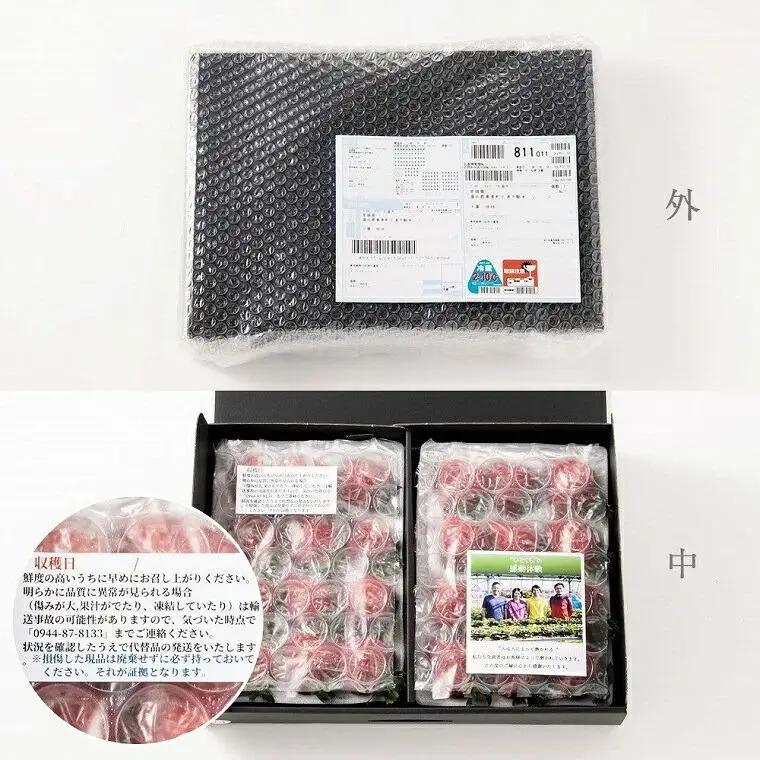 【2027年発送】完熟 あまおう 3Lサイズ 900g | あまおう 産直