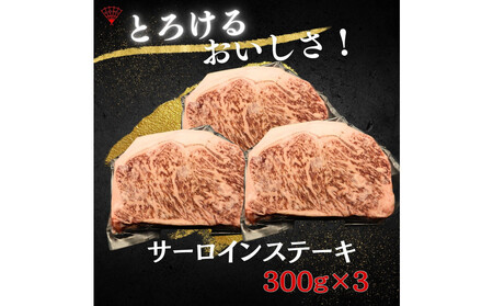 仙台名物！極上2種の牛肉ギフトセット（牛たん・仙台牛）
