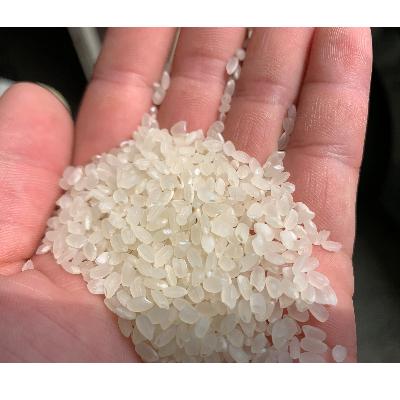 ふるさと納税 中間市 中間市米ぬか産直米　5kg×2個 |  | 01