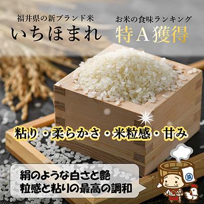 ふるさと納税 あわら市 【毎月定期便】いちほまれ 無洗米 5kg全3回 |  | 01