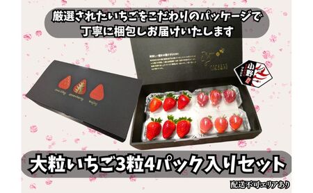 いちご 苺 超特大 3粒4パック 高糖度 いちご
