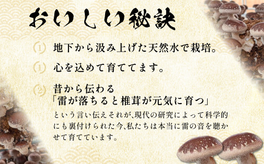 【先行予約 11月初旬から順次発送】千葉県大網白里市産「雷神しいたけ」1kg BC001