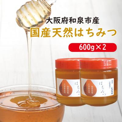 ふるさと納税 和泉市 大阪府和泉市　国産天然はちみつ(600g×2)　日蜂協会員　無添加　自家採蜜　大植養蜂園