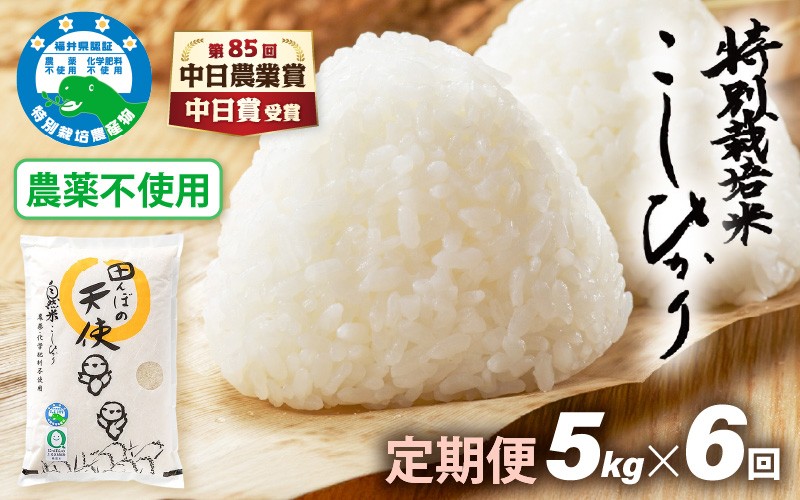
                  【中日賞受賞】《6ヶ月定期便》農薬不使用 こしひかり 5kg×6ヶ月連続 計30kg 令和7年産 特別栽培米コシヒカリ【精米】福井県認証区分1取得「田んぼの天使」越前町 【コシヒカリ 精米 こしひかり 5キロ お米 米 コメ 農薬化学肥料不使用 送料無料 福井県 越前町】 [e10-k003]
                