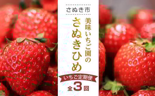 【全3回】美味いちご園のさぬきひめいちご定期便