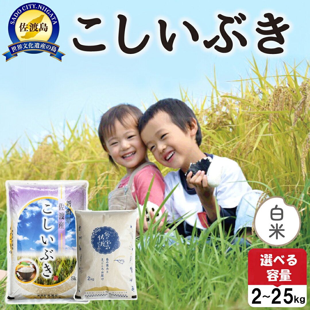 【ふるさと納税】佐渡島産こしいぶき 白米 選べる容量 2kg 4kg 5kg 10kg 15kg 20kg 25kg 令和7年産【食の宝島佐渡】