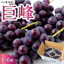 【ふるさと納税】【先行予約】春光園 巨峰 4房から6房 2025年8月下旬から9月上旬 出荷予定