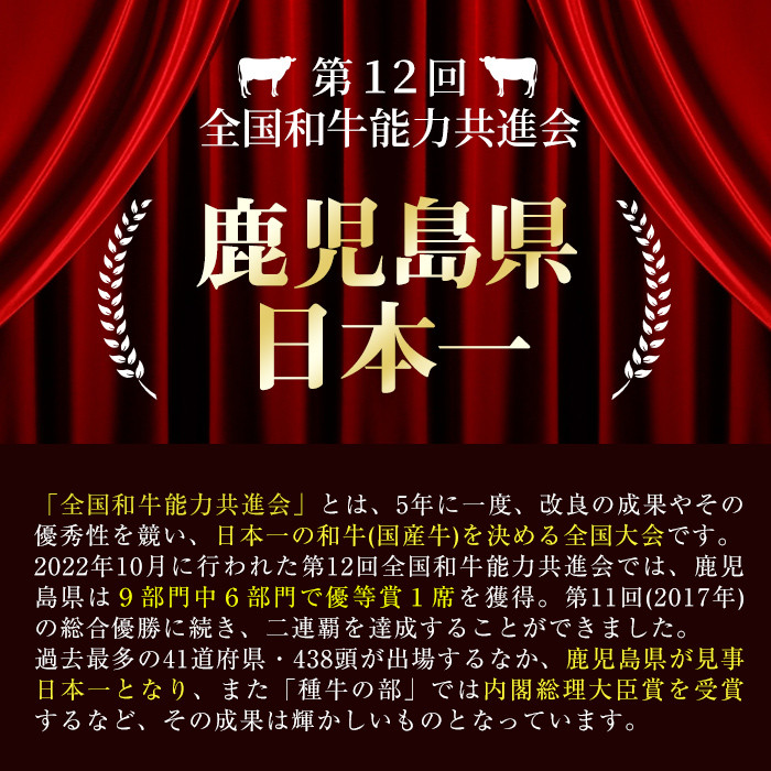 【定期便・全12回】ナンチクのお肉を楽しむ定期便！ナンチク厳選コース！ 総量8.5kg超! t0165-001
