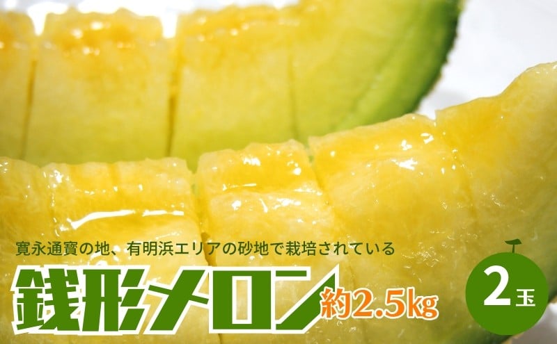 
            銭形メロン 2玉 化粧箱入り 約2.5kg　［アールスメロン］ 果物類 フルーツ 
          