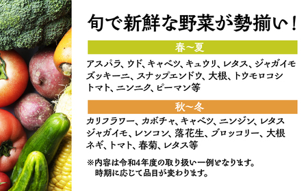 季節の野菜セットA 6～8品目 お届け回数 12回 お届け 定期便  12ヶ月 品目おまかせ BBQ 春 夏 秋 冬 野菜 料理 自宅用 岐阜県産 本巣市 新鮮 やさい 数量限定 冷蔵 道の駅 織部の