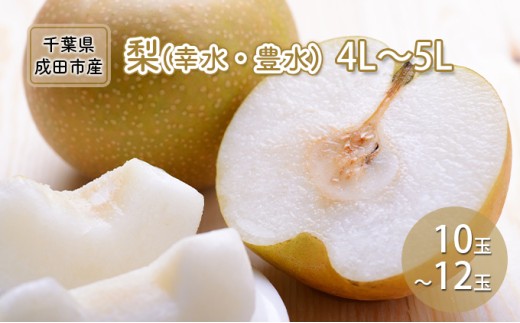 [№5904-0233]梨 幸水 豊水 4L～5L 10玉～12玉 なし ナシ 和梨 果物 くだもの フルーツ 旬のフルーツ 旬の果物 デザート 千葉 千葉県 成田市