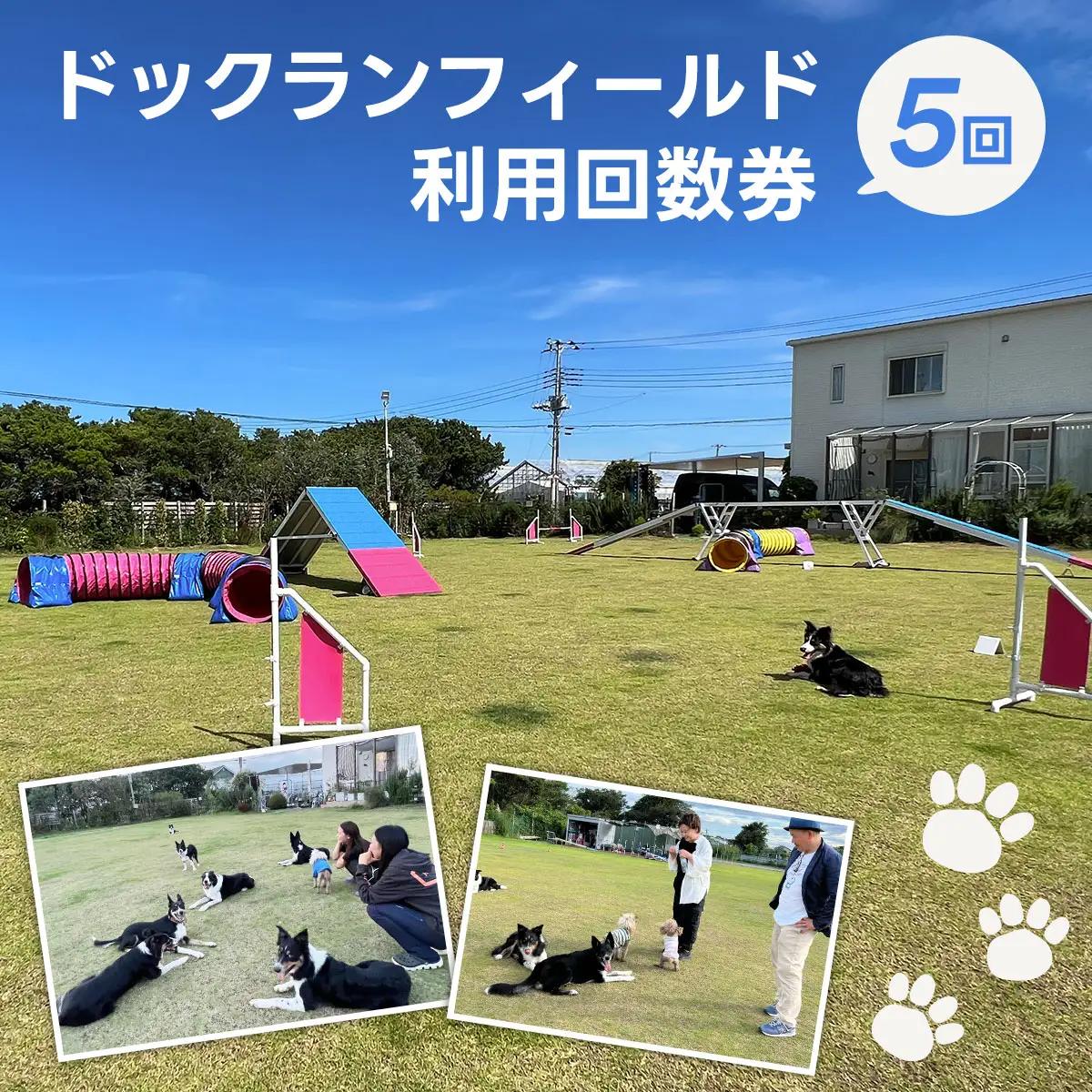 ドックランフィールド利用回数券（５回/1時間×５回） ふるさと納税 ドッグスポーツ 利用券 チケット 犬 イヌ 千葉県 白子町 送料無料 SHAI007