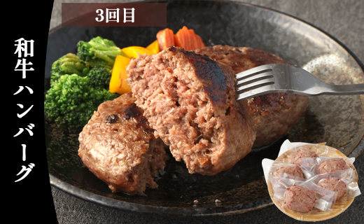 【6回定期便】鹿児島黒牛 バラエティセット 焼肉 すき焼き ステーキ バラスライス 和牛ミンチ ハンバーグ 鹿児島牛 鹿児島黒牛 黒牛 ロース カルビ バラ 冷凍 定期便 6回