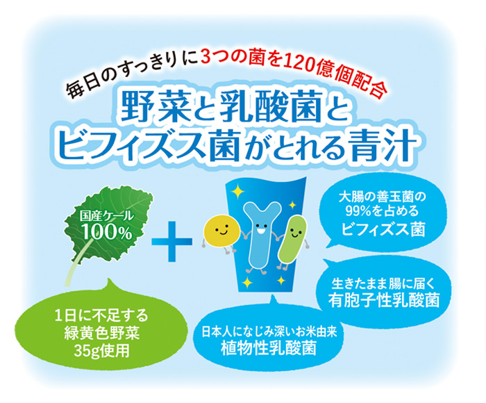 ＜【3回定期便】野菜と乳酸菌とビフィズス菌がとれる青汁＞ ケール 粉末 すっきり 契約農家 健康 濃縮野菜 無添加 ミネラル農法 化学農薬不使用 青汁 飲料 野菜不足解消 グリーンヒル ファンケル FANCL 愛媛県 西予市