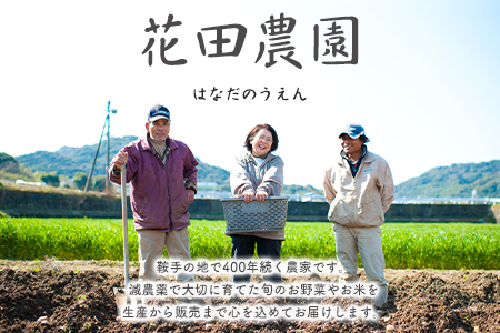 夏 野菜セット 約5kg 花田農園