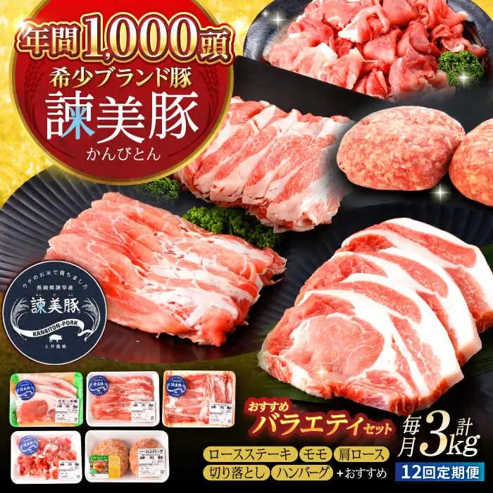 【12回定期便】諫美豚おすすめバラエティセット3kg / 諫美豚 豚肉 肩ロース ステーキ モモ 切り落とし ハンバーグ ロースステーキ / 諫早市 / 株式会社土井農場 [AHAD011]