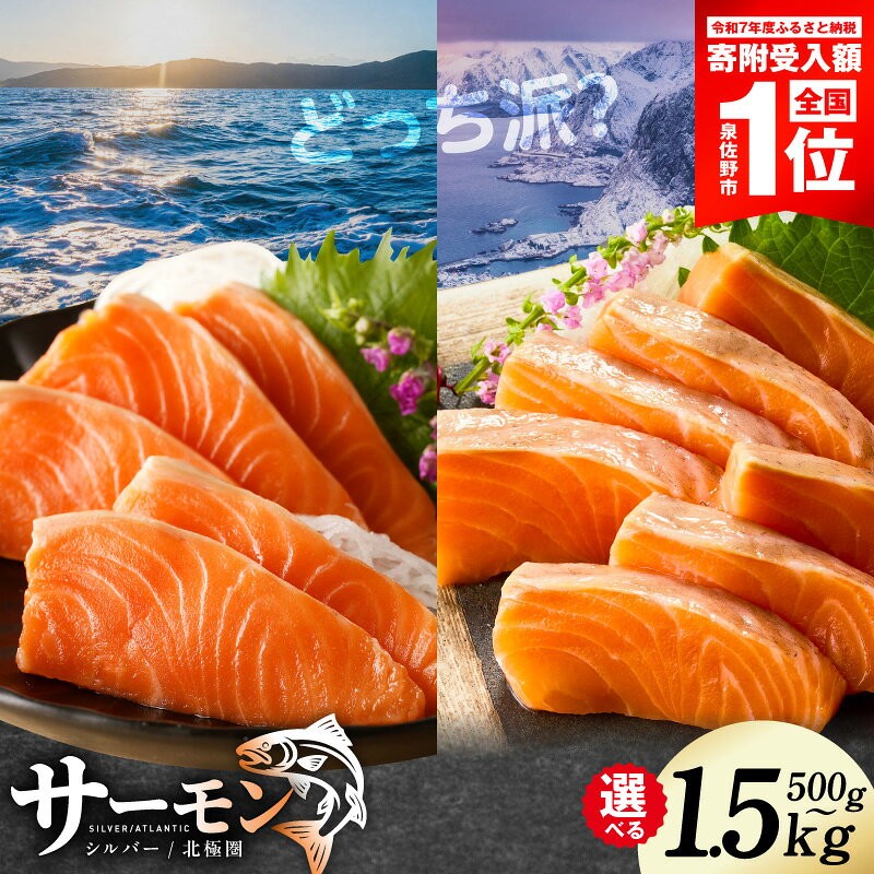 【ふるさと納税】サーモン ポーション 選べる 500g / 1kg ふるさと納税 刺身 訳あり 発送時期が選べる サイズ不揃い 銀鮭 シルバーサーモン 小分け ブロック 柵 ソテー 生食 アレンジ 簡単 冷凍 定期便 最短翌日発送 5営業日 泉佐野市 送料無料 家計応援 楽天限定