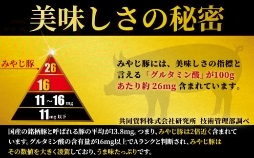 ブランド豚 豚肉 豚 国産 みやじ豚 しゃぶしゃぶ 計 900g セット バラ モモ もも ばら ブランド ぶたにく ぶた 人気 おすすめ BBQ バーベキュー 焼き肉 焼肉 真空 パック ポーク し