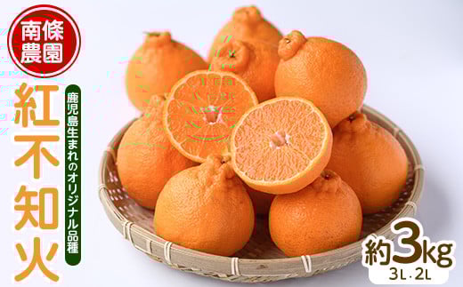 
            【先行予約】紅 不知火 (3L・2L) 約3kg しらぬい みかん ミカン 蜜柑 柑橘 果物 くだもの フルーツ 【南條農園】 nannjyo-7260
          