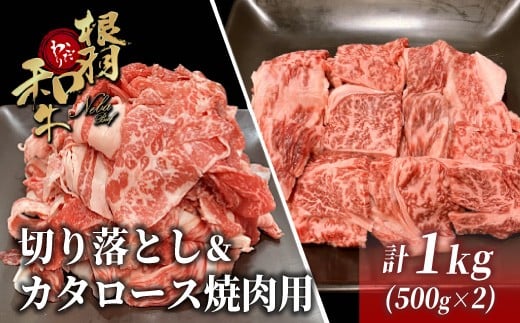 数量・期間限定★2026年1月発送★黒毛和牛 根羽こだわり和牛 切り落とし500g＆カタロース焼肉用500g 小分け 切り落とし 焼肉 13,000円