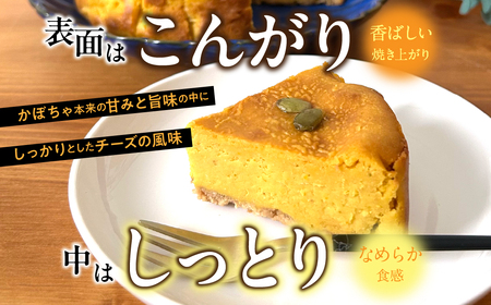 パンプキンチーズケーキ DSX009