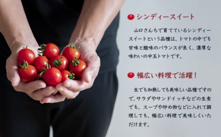 【先行予約】山口さんちの中玉トマト　約2kg　宮崎県西都市産＜1-280＞＊