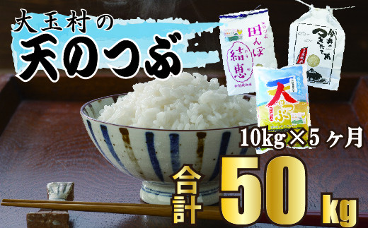 
【 令和5年産 】【 5カ月定期 】 福島県大玉村産 天のつぶ 50kg （ 毎月 10kg × 5回 お届け ） 福島県 大玉村 てんのつぶ テンノツブ 米 定期便
