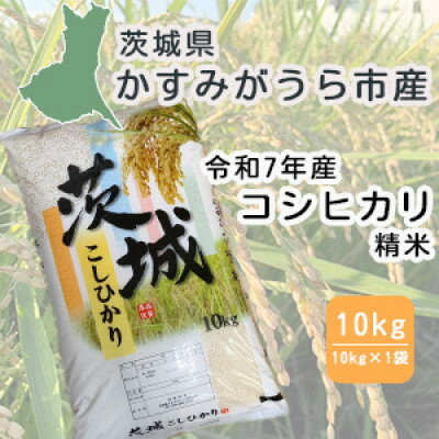 【ふるさと納税】令和7年産　茨城県かすみがうら市産　精米　コシヒカリ　10kg【1662549】