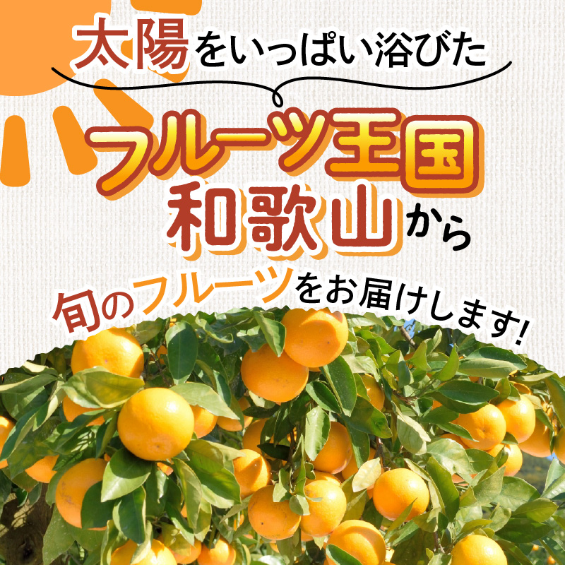 【8003-3】定期便 フルーツセット 年4回(春・夏・秋・冬)