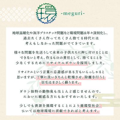 ふるさと納税 吉野川市 枕 羽毛 ダウン 抱きまくら 1個 |  | 02