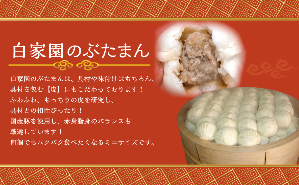 【全12回定期便】【詰め合わせ】ぶたまん20個×焼餃子10個×焼小籠包8個 ／ 中華 点心 惣菜 豚まん ぎょうざ セット 詰め合わせ 長崎県 長崎市