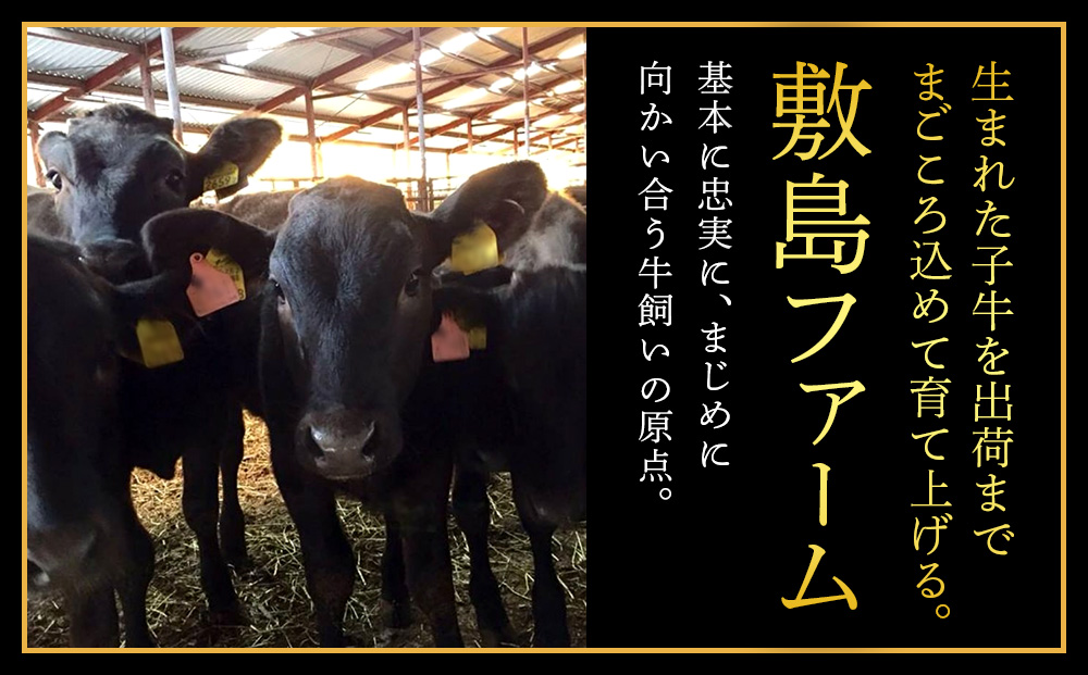白老産黒毛和牛 味付け焼肉 ピリカルージュ 2.4kg (400g×6パック) 7日営業日以内発送 焼肉 黒毛和牛 タレ 小分け 焼肉セット 人気 数量限定 たっぷり大満足 グルメ 訳あり CK008