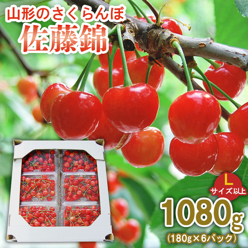 山形のさくらんぼ 佐藤錦 1.2kg(200g×6パック) Lサイズ以上 【