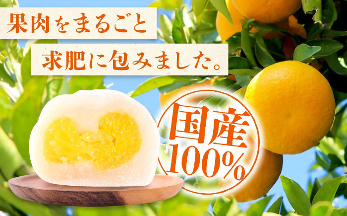 【全3回定期便】お菓子 はっさく大福20個入×2　 お菓子 大福 八朔 柑橘 みかん オレンジ 餅 ギフト お取り寄せ スイーツ フルーツ大福 ご当地 菓子 おかし デザート 食品 人気 おすすめ 広